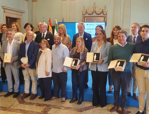 Reconocimientos a la Inclusión y al Compromiso con la Discapacidad – Hub Diversidad Digital Huelva