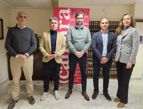 Encuentro de ASEIN con la Cámara de Comercio de Huelva